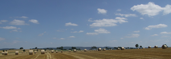 Rundballen vor Sendeturm