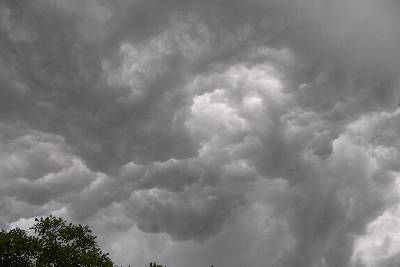 Cumulus mammatus