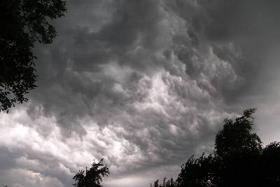 Cumulus mammatus