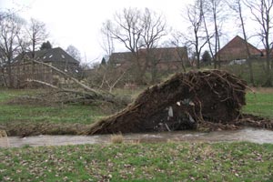 Windbruch an der Espolde