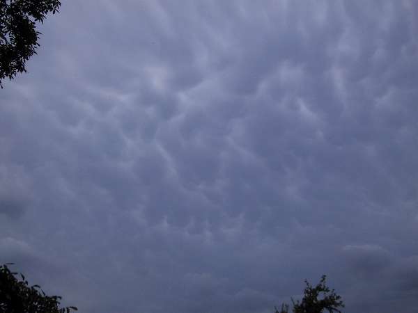 Mammatus