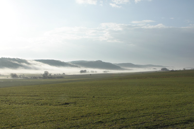 Nebel im Solling nahe Fredelsloh