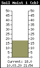 Grafik Bodenfeuchte 40 cm Tiefe